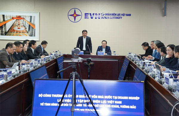 chính phủ và việc tăng giá điện